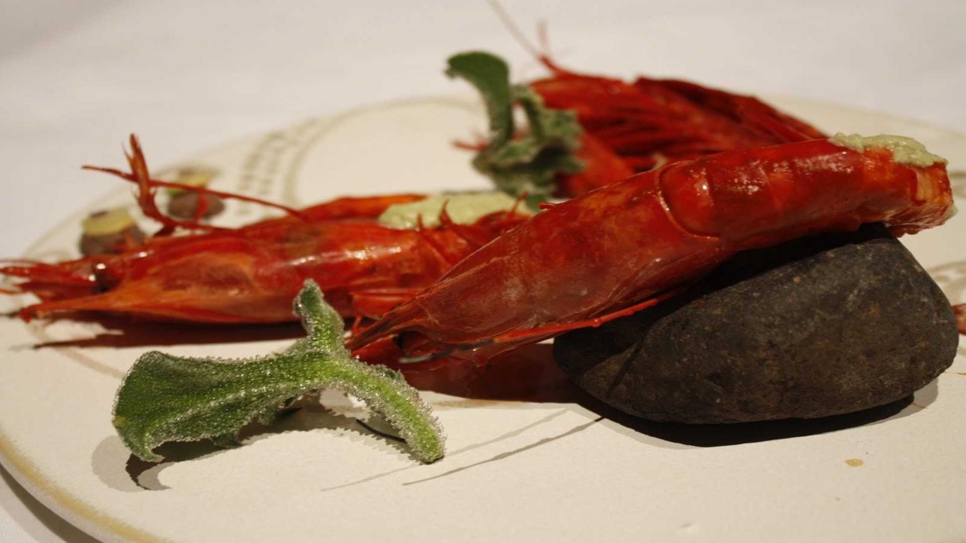 SPAIN, Mugaritz Spain Connoisseur's