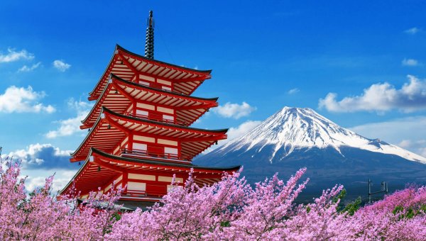 A pink cherry blossom pagoda takes inspiration from the delicate beaut